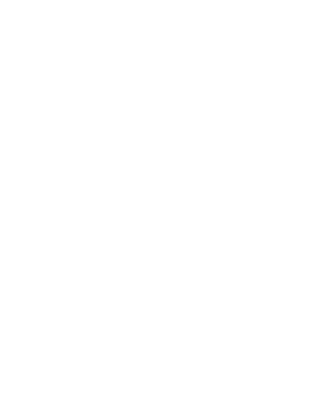 ICEFIT The Box CrossFit logo
