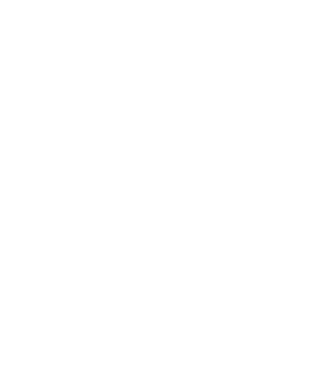 ICEFIT HYROX Training Zone logo